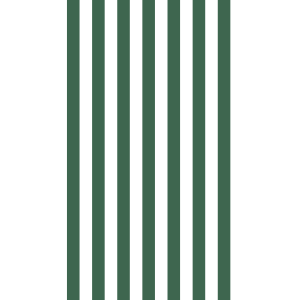 条纹