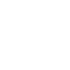 狼